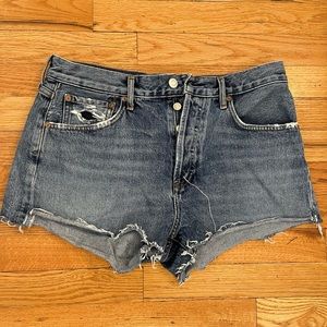 Agolde Parker vintage cutoff shorts.  Size 28.